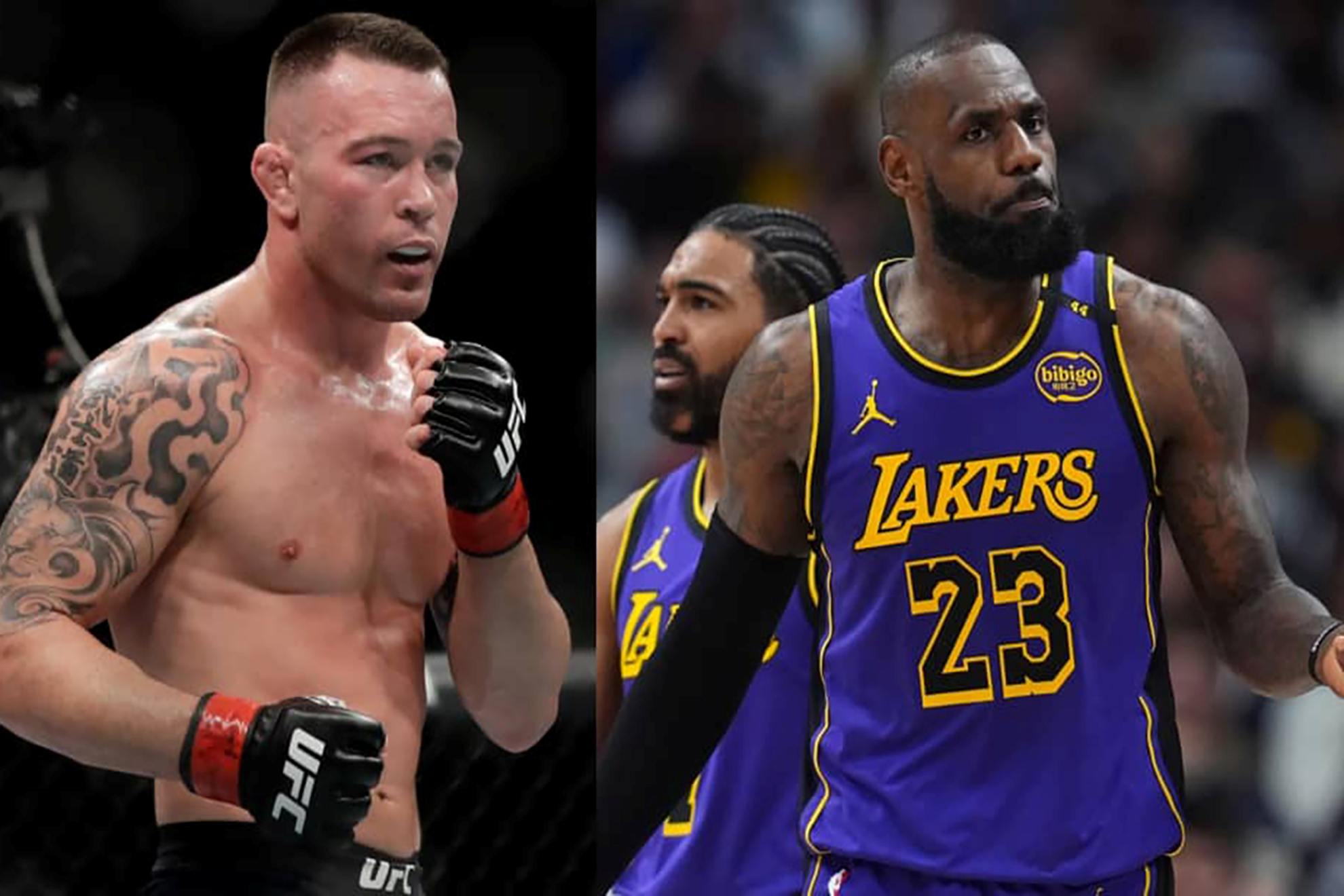 LeBron James and Colby Covington have had differences in the past
